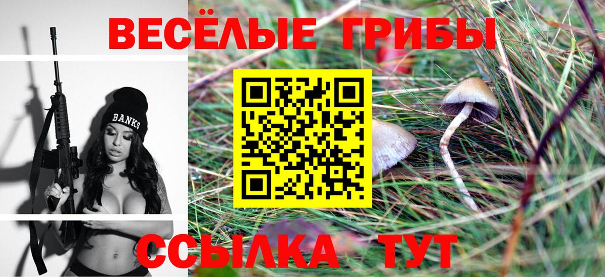 наркошоп  Псилоцибиновые грибы прущие грибы  Вход с VPN  Нефтекамск 