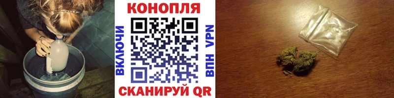 Конопля гибрид  Нефтекамск 